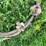 #5626-•-cable-image-7