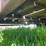 #5582-•-utility-trailer-image-21