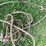 #5630-•-cables-image-7