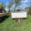 #5577-•-utility-trailer-image-2