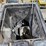 #48-•-seat-belts,-helmet,-misc-items-image-2