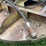 #5607-•-excavator-4'-brush-cutter-image-11