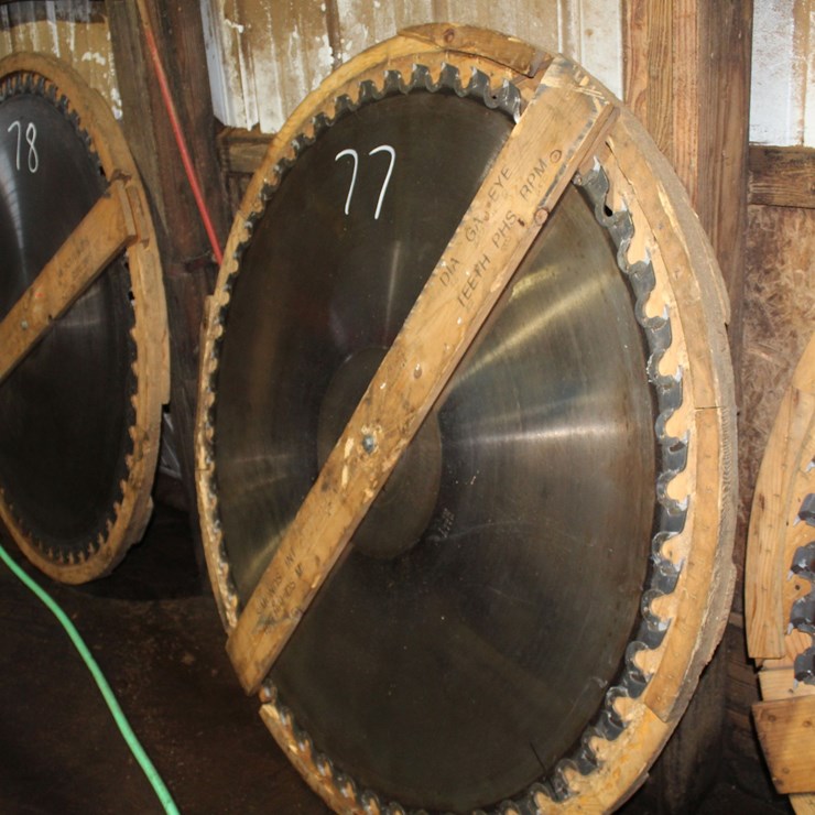 56" CIRCLE SAW