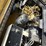 2013-caterpillar-c11-image-2