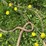#5627-•-(3)-cables-image-6