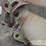 2016-volvo-l180h-image-42