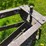 #5621-•-antique-adjustable-height-and-angle-pull-behind-road-grader-image-4