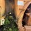 #3-•-390-rex-trash-compactor-image-26