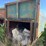 #22-•-compact-dumpster-image-6