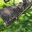 #5621-•-antique-adjustable-height-and-angle-pull-behind-road-grader-image-38