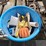 #5-•-tub-of-assorted-electrical-parts-image-2
