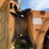 #3-•-390-rex-trash-compactor-image-27