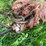 #5624-•-(1)-cable-image-3