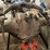 ford-tractor-image-23