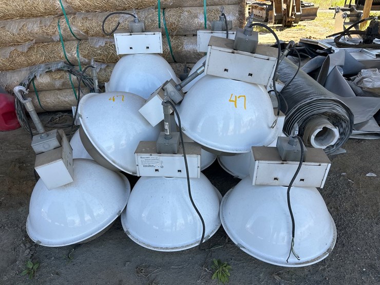 #47-•-large-white-lights-image-1