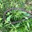 #5624-•-(1)-cable-image-2