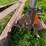 #5577-•-utility-trailer-image-14
