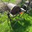 #5619-•-vintage-concrete-mixer-image-1