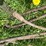 #5625-•-(4)-cables-image-3