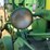 john-deere-620-image-35