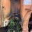 #3-•-390-rex-trash-compactor-image-25