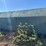 #20-•-compact-dumpster-image-5