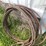 #5630-•-cables-image-2