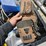 #75-•-lot-of-assorted-construction-items-image-5