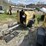 2014-caterpillar-c11-image-1