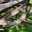 #5621-•-antique-adjustable-height-and-angle-pull-behind-road-grader-image-10