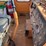 #3-•-390-rex-trash-compactor-image-71