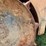 #3-•-390-rex-trash-compactor-image-40