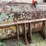 #5631-•-large-excavator-bucket-image-5