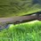 #5585-•-utility-trailer-image-21