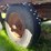 #5574-•-heavy-duty-trailer-image-25