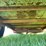 #5577-•-utility-trailer-image-19