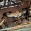 ford-tractor-image-38