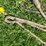 #5625-•-(4)-cables-image-6