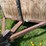 #5597-•-single-axle-trailer-image-10
