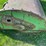 #5578-•-john-deere-flail-chopper-image-11