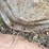 ford-8n-image-11