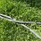 #5628-•-cable-image-3