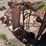 #5642-•-(3)-carts/dollies-image-3