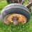 #5586-•-moldboard-plow-image-8