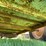 #5577-•-utility-trailer-image-18