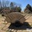 net-1-ton-creep-feeder-image-8
