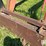 westendorf-wl-42-image-20