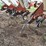 international-183-image-8