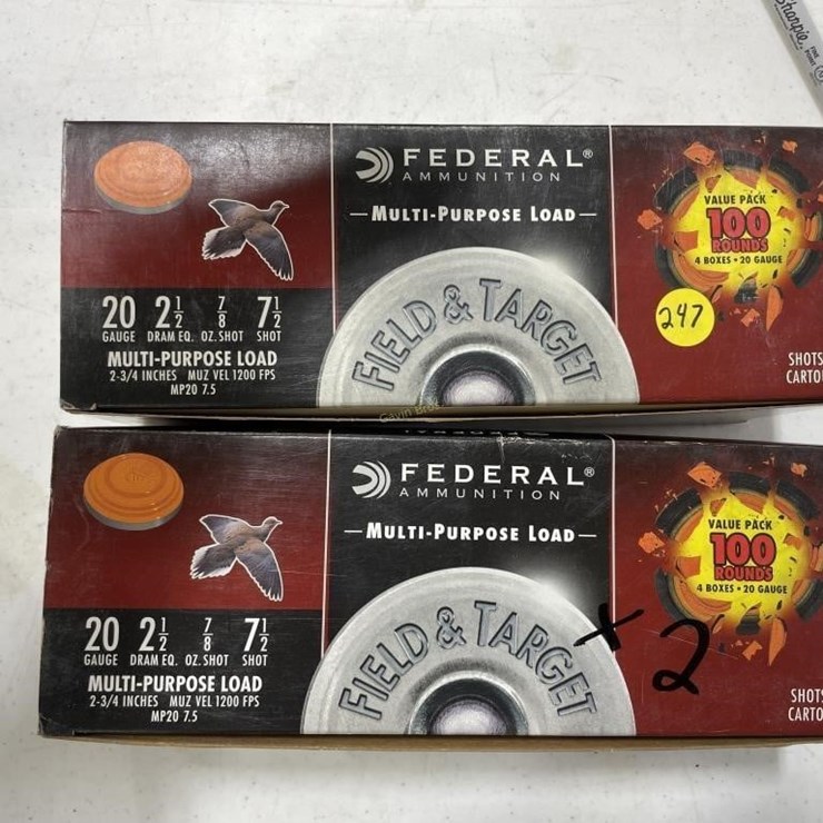 200 Rounds Remington Field & Target 20ga Ammo