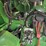 2016-john-deere-s680-image-40